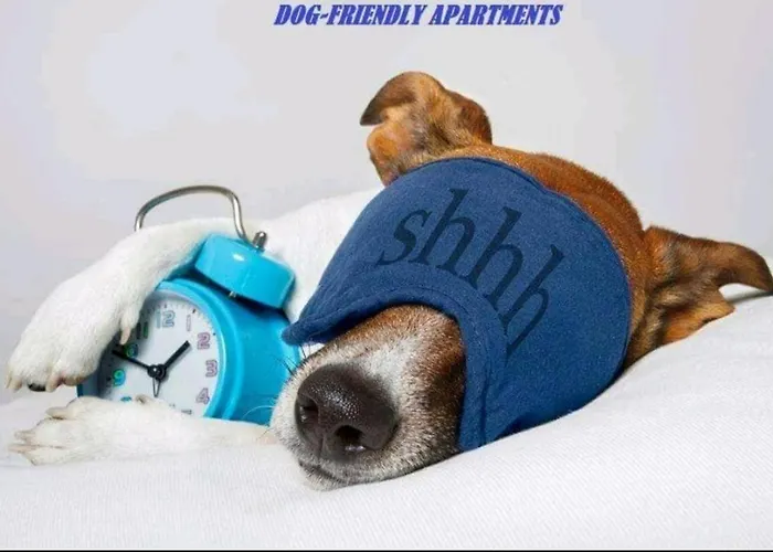 Apartment Kuca Za Odmor Lucy Pula